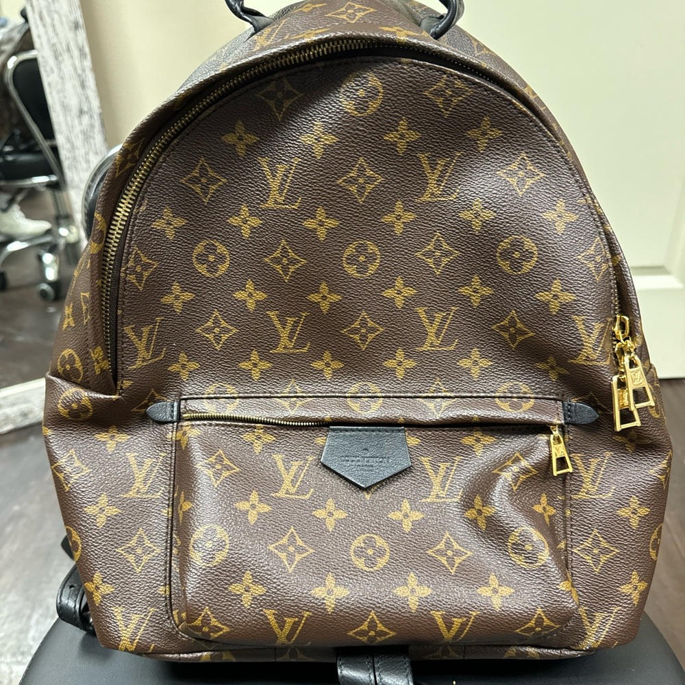 LOUIS VUITTON Palm Springs Backpack MM